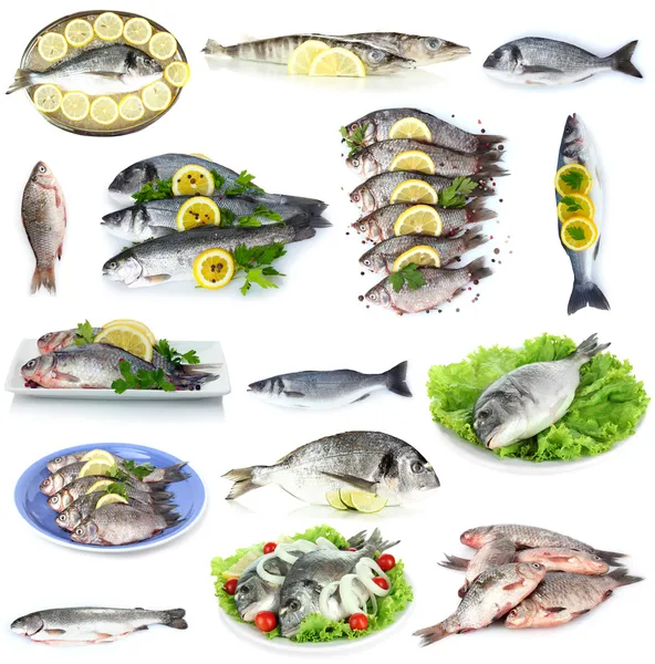 Pesce fresco e piatti di pesce isolati su bianco — Foto Stock