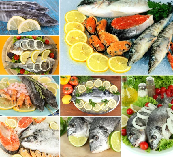 Collage poisson frais et plats de poisson — Photo