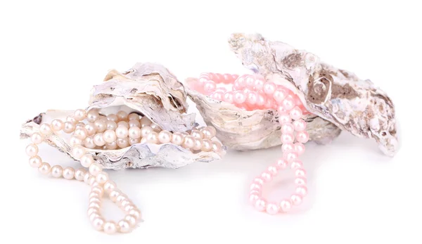 Shells with pearls, isolated on white — Stock Photo, Image