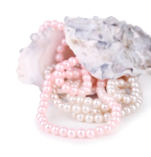 真珠、白で隔離されるシェル — ストック写真