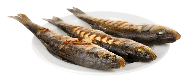 Вкусная рыба-гриль на тарелке, изолированная на белом — стоковое фото