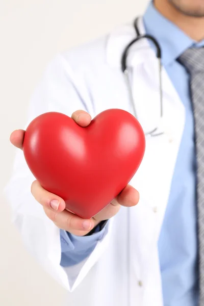 Αρσενικό γιατρός με κόκκινο καρδιά στα χέρια του, που απομονώνονται σε λευκό φόντο — Φωτογραφία Αρχείου