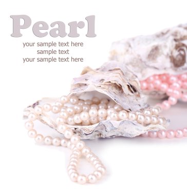 Shells with pearls, isolated on white clipart