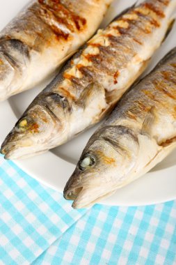 Nefis ızgara balık plaka üzerinde tablo yakın çekim