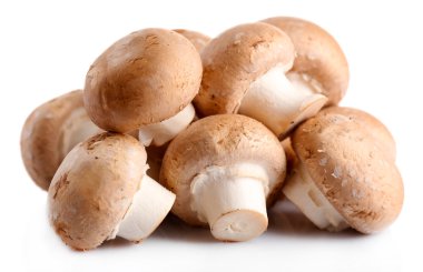 Beyaz mantarlar izole edilmiş.