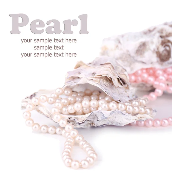 Shells with pearls, isolated on white — Stock Photo, Image