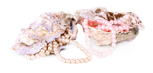 Shells with pearls, isolated on white — Stock Photo, Image