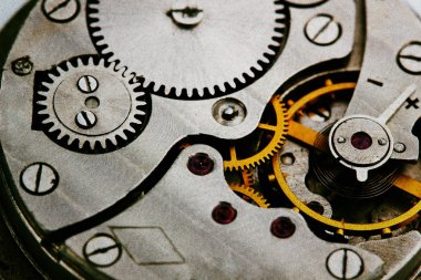Clockwork Ayrıntılar, Pinyonlar ve tekerlekler portre