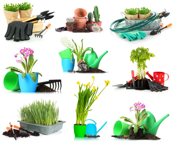 Collage de jardinería aislado en blanco — Foto de Stock