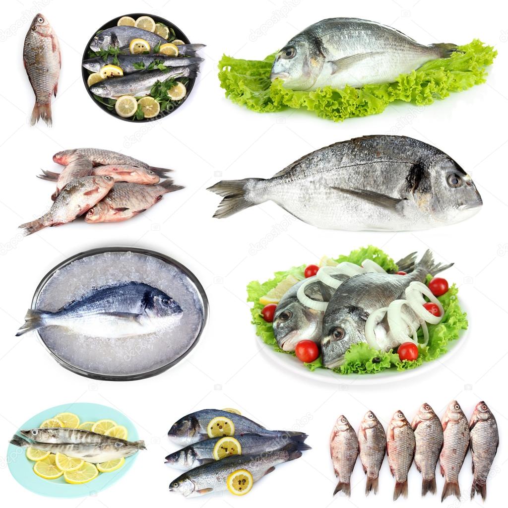 Fresh fish and fish dishes isolated on white