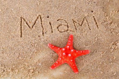 ıslak kum yakın çekim arka plan Miami'de yazıt