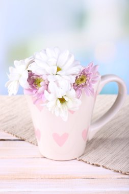 güzel kasımpatı çiçekleri açık renkli tablo üzerinde Kupası