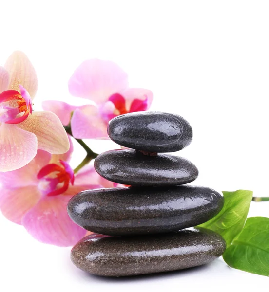 Composición con hermosa orquídea floreciente con gotas de agua y piedras de spa, aisladas en blanco — Foto de Stock