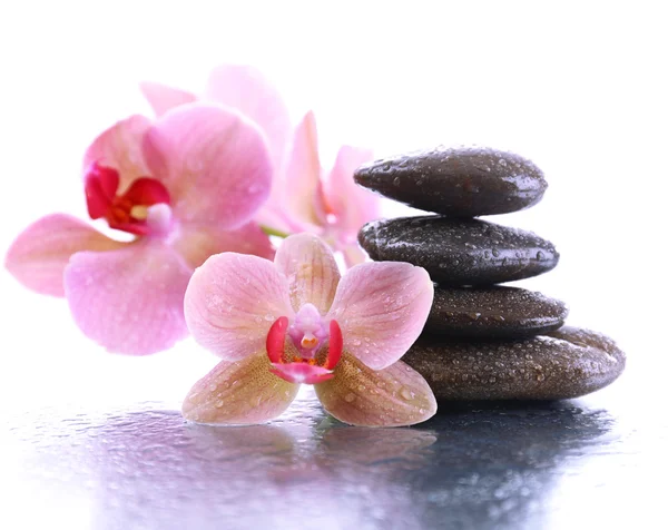 Kompozycja z pięknych kwitnących orchidei z kropli wody i kamienie spa, na jasnym tle — Zdjęcie stockowe