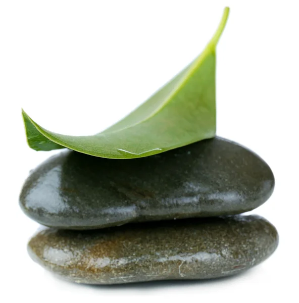 Спа камені з зеленим листом, ізольовані на білому — стокове фото