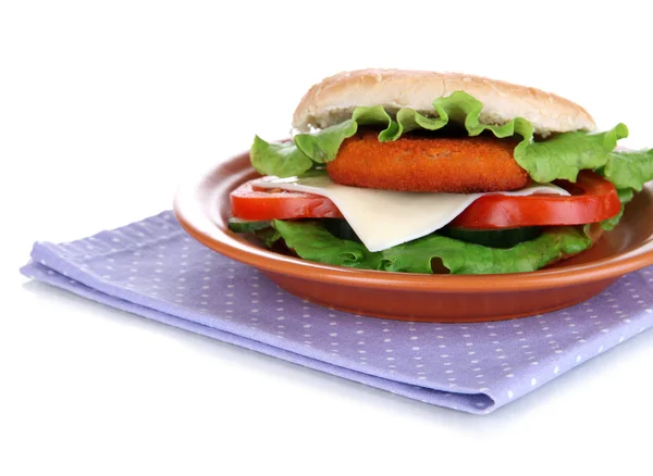 与肉饼，对彩色钢板，餐巾，孤立的白色衬底上好吃的三明治 — 图库照片