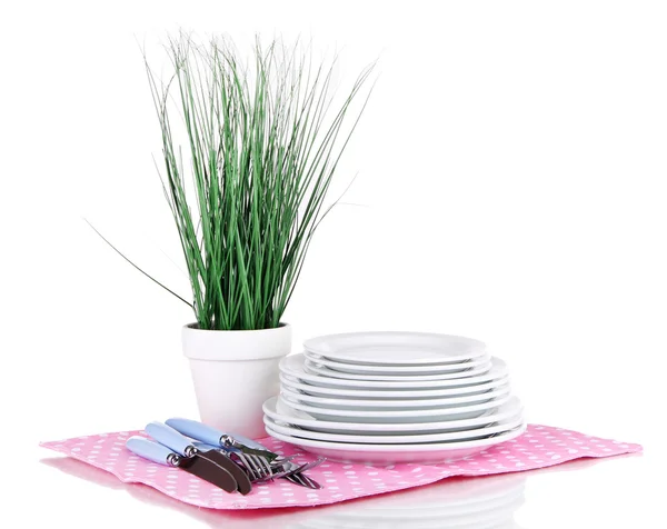 Sauberes Geschirr mit Blume isoliert auf weiß — Stockfoto