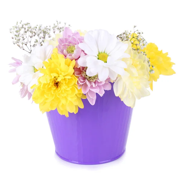 Beautiful chrysanthemum flowers in bucket isolated on white — Stock Photo, Image