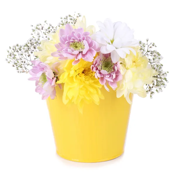 Hermosas flores de crisantemo en cubo aislado en blanco — Foto de Stock