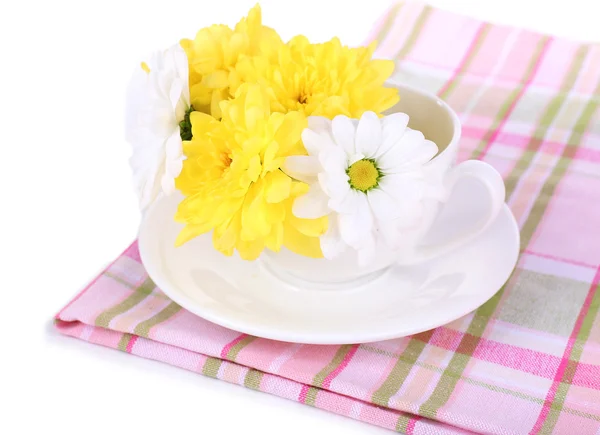 Bellissimi fiori di crisantemo in tazza isolati su bianco — Foto Stock