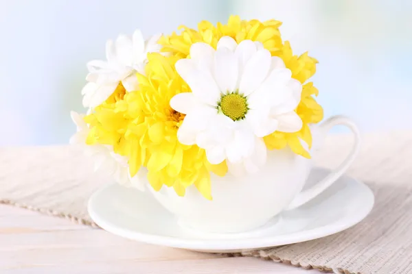 Beautiful chrysanthemum flowers in cup on table on light background — Stock Photo, Image