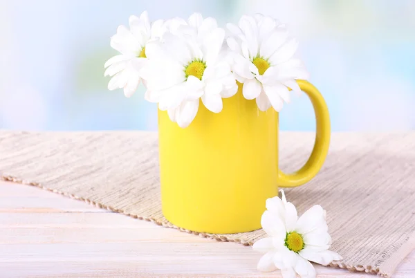 Beautiful chrysanthemum flowers in cup on table on light background — Stock Photo, Image