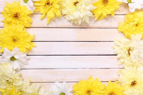 Beautiful chrysanthemum flowers on wooden background — Stock Photo, Image