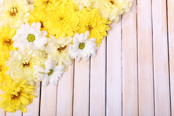 Prachtige chrysant bloemen op houten achtergrond — Stockfoto