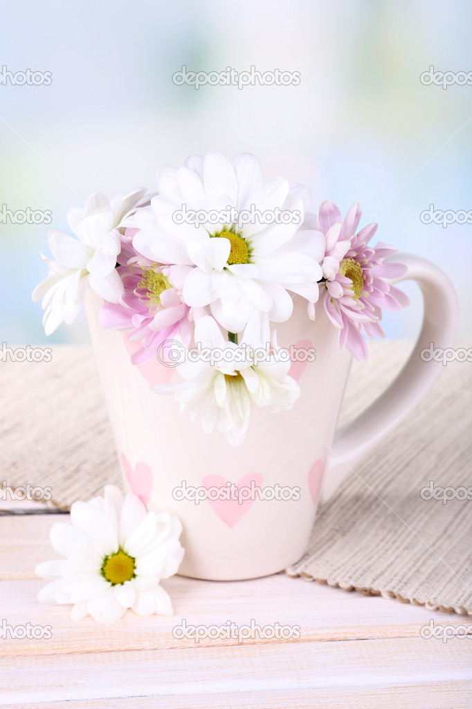 Beautiful chrysanthemum flowers in cup on table on light background