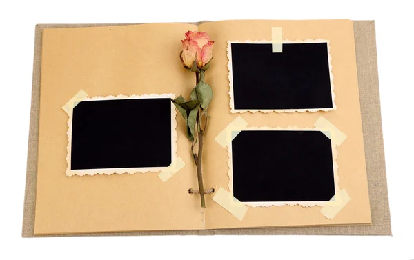 Prázdné staré fotografie v albu a sušených květin, izolovaných na bílém — Stock fotografie