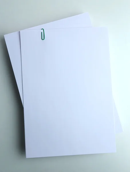 Weißbuch aus nächster Nähe — Stockfoto