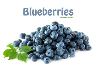 beyaz izole yaban mersini