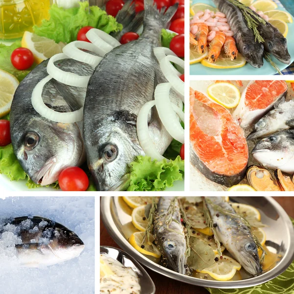Colagem de peixe fresco e pratos de peixe — Fotografia de Stock