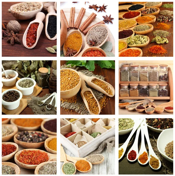 Collage van verschillende aroma specerijen — Stockfoto