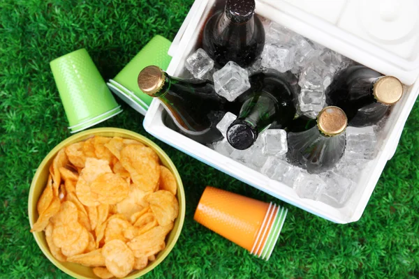Ice chest full of drinks in bottles on grass background — Stock Photo, Image