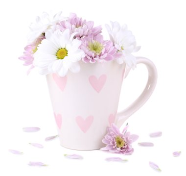 güzel kasımpatı çiçekleri beyaz izole Kupası