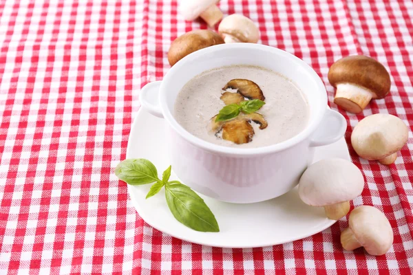 Mushroom soup in white pot, on napkin background — Stock Photo, Image