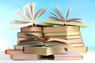 Tablo doğal zemin üzerine kitap yığınları