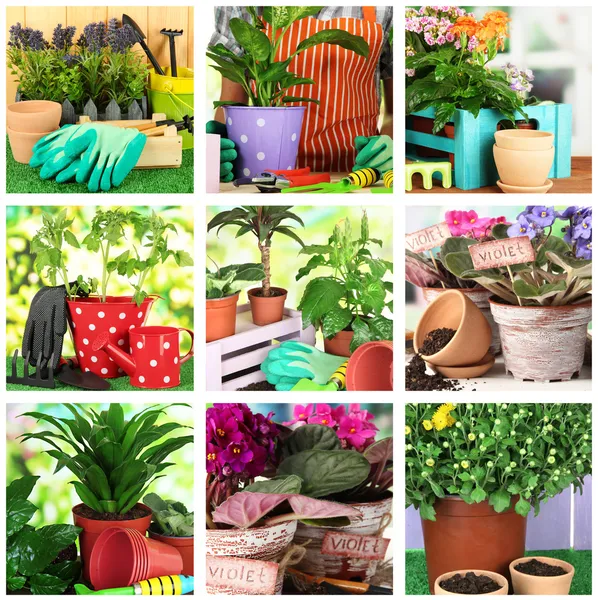 Collage van tuinieren, close-up — Stockfoto