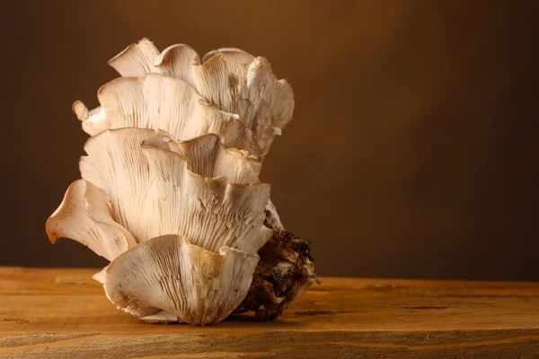 Устричные грибы деревянный стол на коричневом фоне — стоковое фото