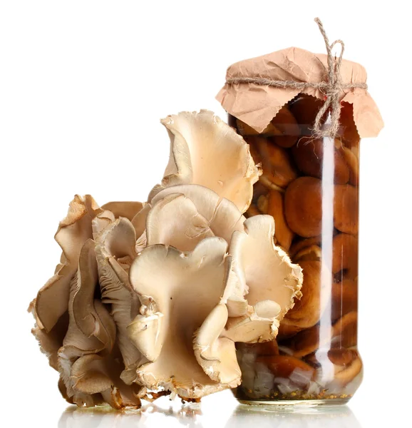 Köstliche marinierte Pilze im Glas und Austernpilze isoliert auf weiß — Stockfoto