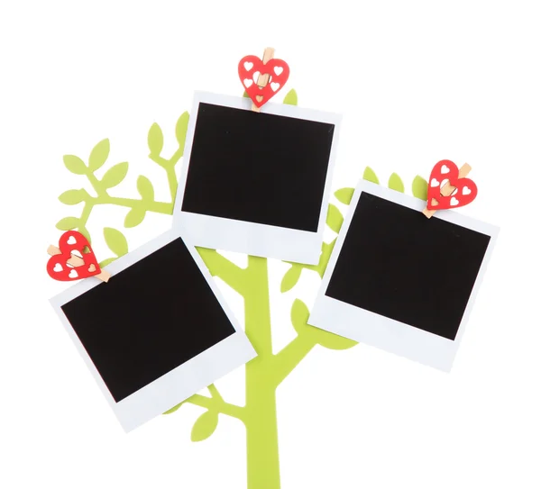 Soporte en forma de árbol con tarjetas de fotos instantáneas aisladas en blanco — Foto de Stock