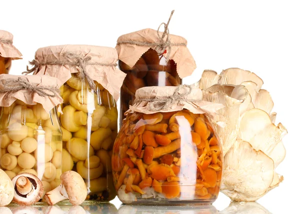 Delicious marinated mushrooms in the glass jars and raw champignons isolated on white Stock Photo