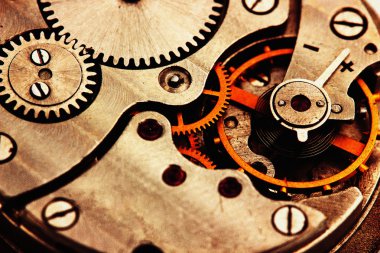 Clockwork Ayrıntılar, Pinyonlar ve tekerlekler portre