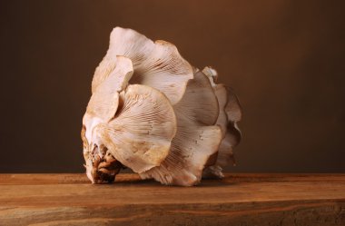 kahverengi zemin üzerinde istiridye mantar ahşap tablo