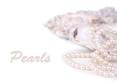 Shell with pearls, isolated on white clipart