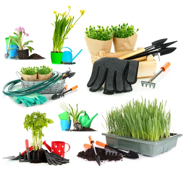 Collage of gardening isolated on white — Stock Photo, Image