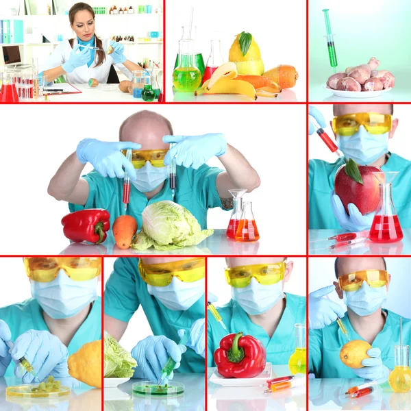 Genetic engineering laboratory. GMO food concept — Stock Photo, Image