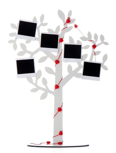 Držitel v podobě stromu s instant fotografické karty izolované na bílém — Stock fotografie
