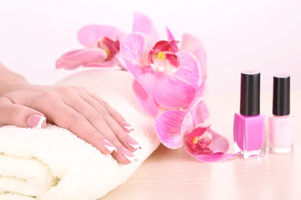 Belle mani donna con manicure francese e fiori sul tavolo su sfondo bianco — Foto Stock